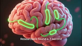 How To Get Brain Training Exercises For Seniors How To Get Brain Training Exercises For Seniors