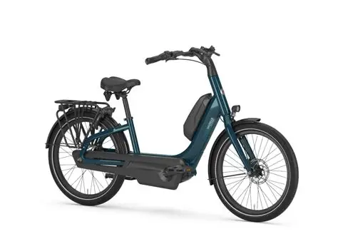  Best Electric Bikes for Seniors in Canada (2026 Edition)